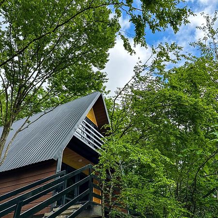 Martvili Canyon Cottage 외부 사진
